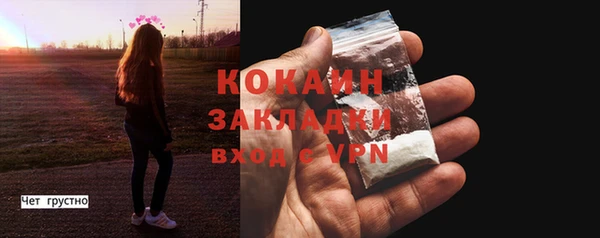 сатива Мегион