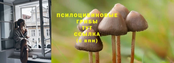 a pvp Медногорск