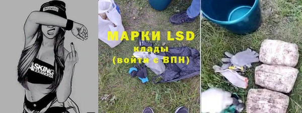 сатива Мегион