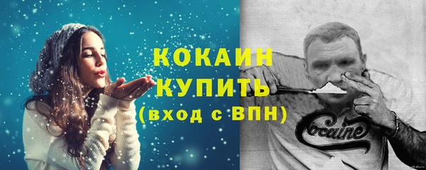 сатива Мегион