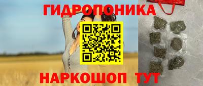 тгк Берёзовский