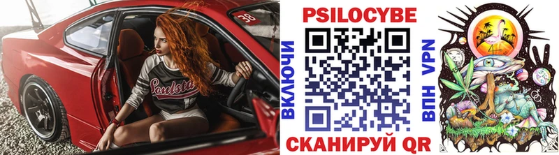 Псилоцибиновые грибы прущие грибы  blacksprut онион  Донской 