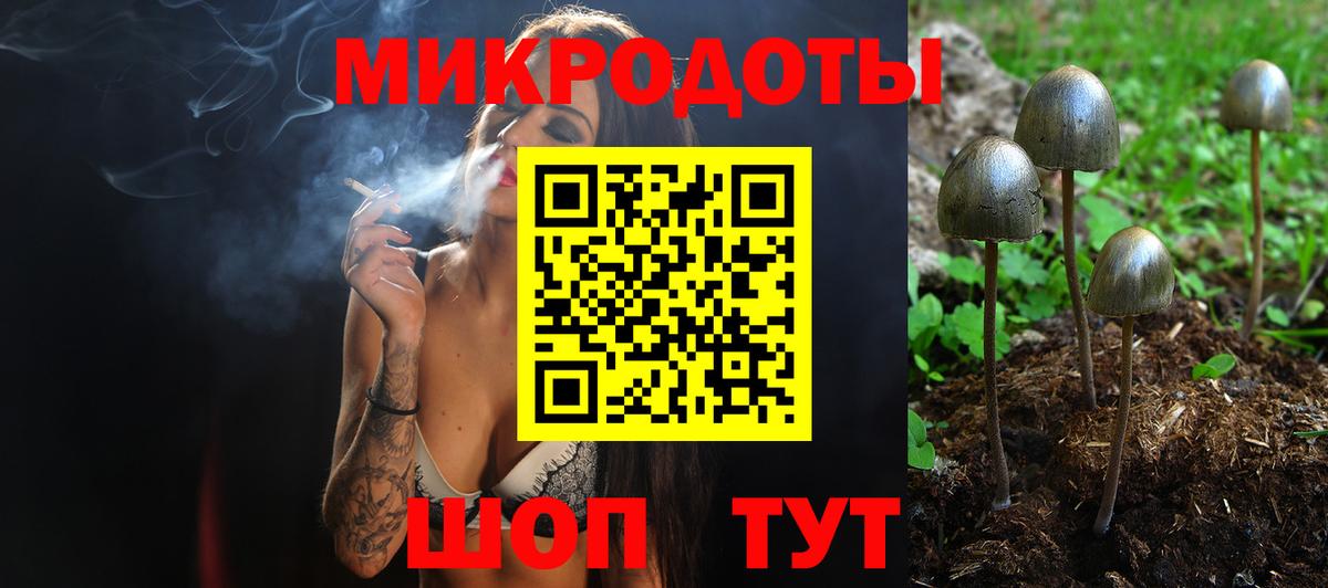 Донской  MDMA  Alpha-PVP СК   Гашиш  Канабис  МЕФ кристаллы  МЕФ   COCAIN 