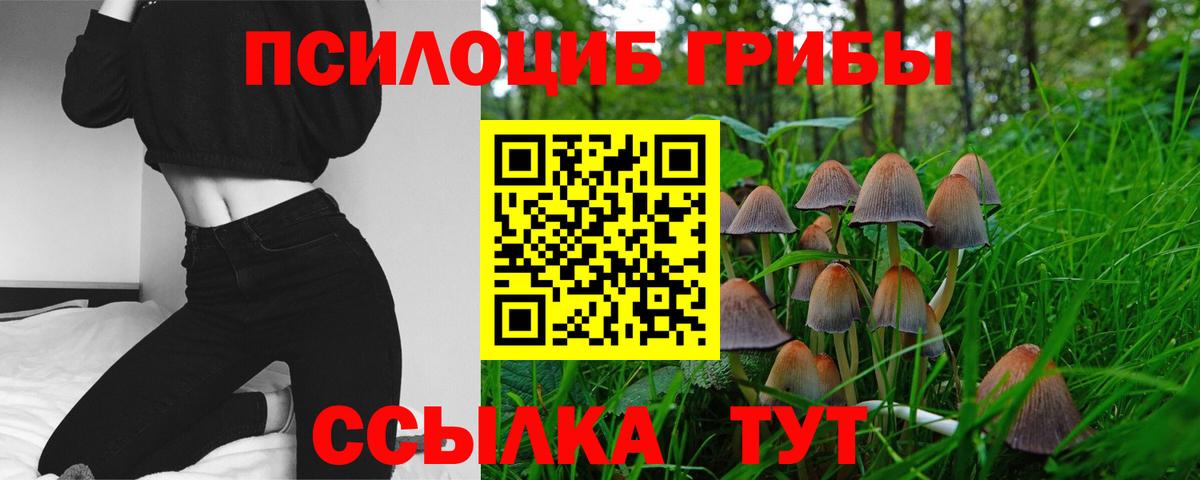Псилоцибиновые грибы ЛСД  Вход с VPN  Донской 