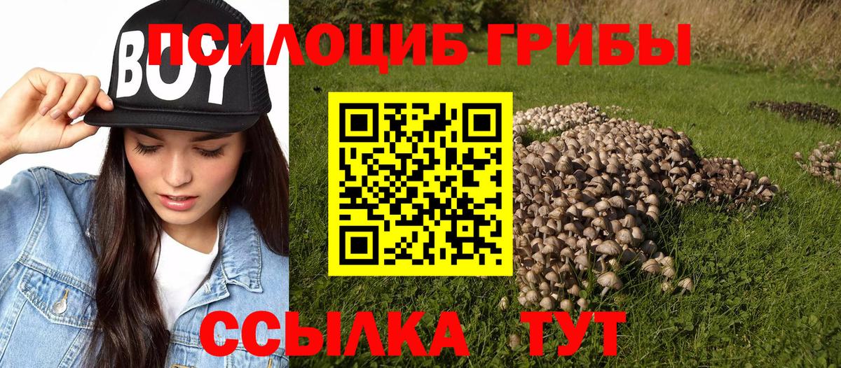 Псилоцибиновые грибы GOLDEN TEACHER  что такое наркотик  Галлюциногенные грибы мухоморы  Донской 