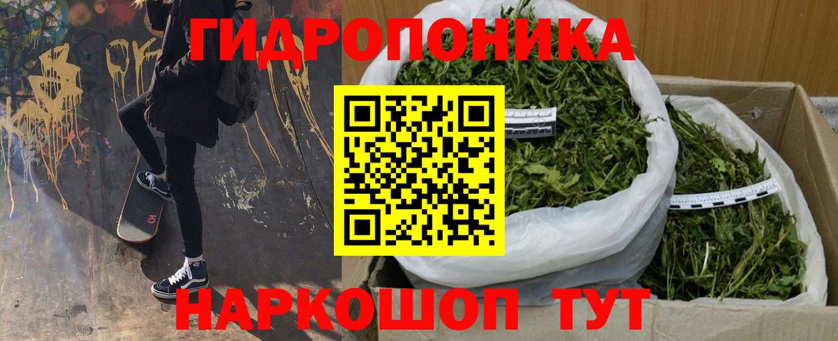 Бошки марихуана AK-47  Донской  Шишки марихуана Amnesia 