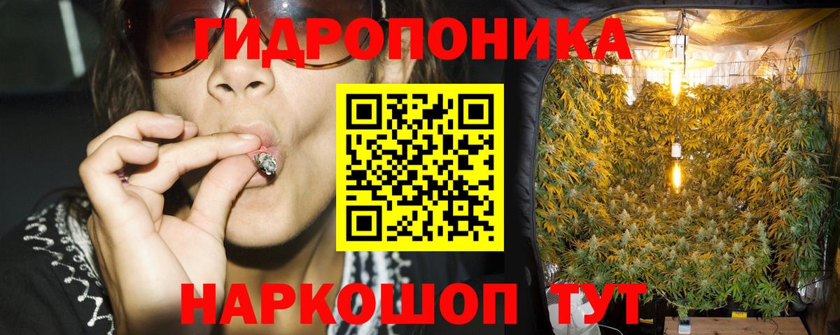 Бошки марихуана VHQ  МАРИХУАНА ГИДРОПОН  Вход с VPN  Донской  Каннабис VHQ 